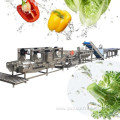 Fruit And Vegetable Process Machines